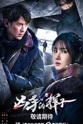凶手的样子 (2024) 全16集 国语中字 4K 剧情 悬疑该剧讲述了沉寂多年的命案出现新线索，刑侦人员在东北冰天雪地中追查凶手的故事链接：